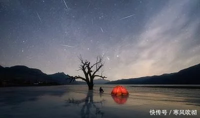 爱情星座排名